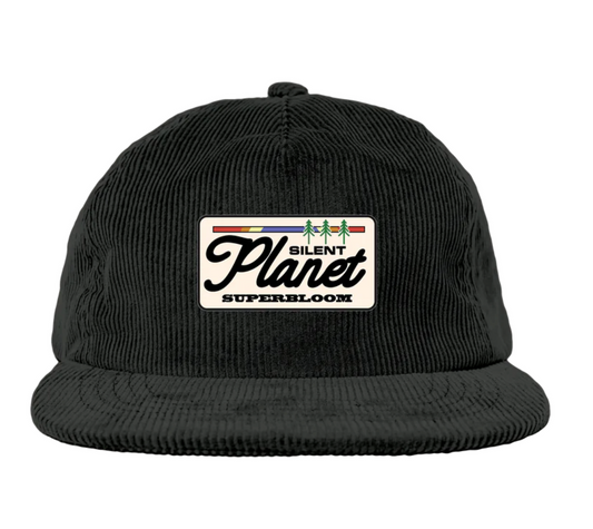 Black Corduroy Hat
